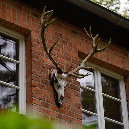 Wald- Und Seeidyll Im Historischen Forsthaus Neuruppin Bagian luar foto