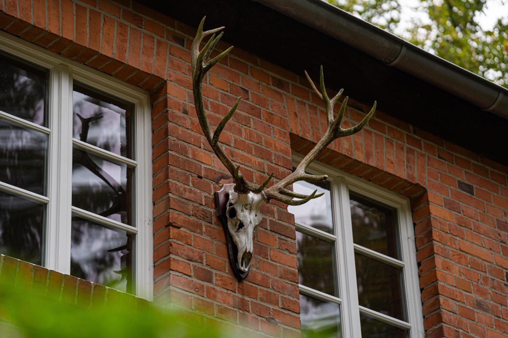 Wald- Und Seeidyll Im Historischen Forsthaus Neuruppin Bagian luar foto